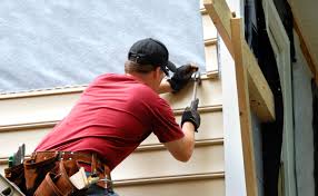 Best Vinyl Siding Installation  in Ama, LA